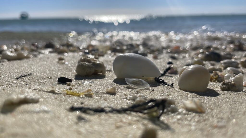 0ca1dd7f f553 488b bafe d20f60a7fc2b